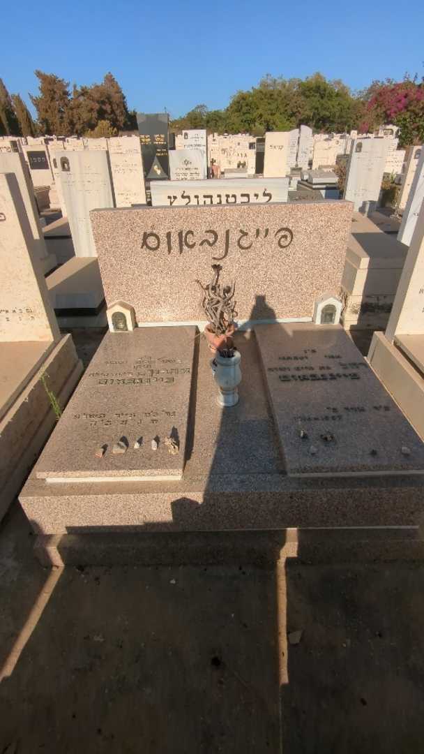 קברו של אהרון פייגנבאום. תמונה 2