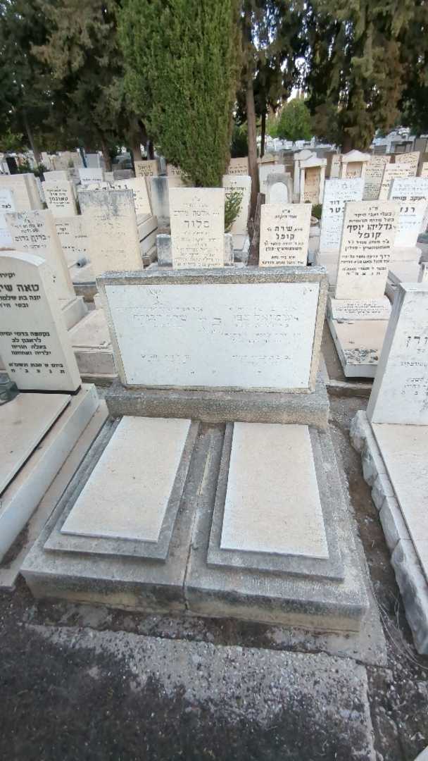 קברו של שמואל צבי כץ. תמונה 2