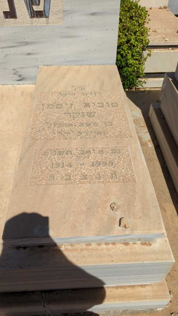 קברו של טוביה זיסמן שנקר. תמונה 1