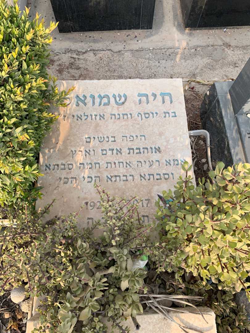 קברו של חיה שמואלי. תמונה 2