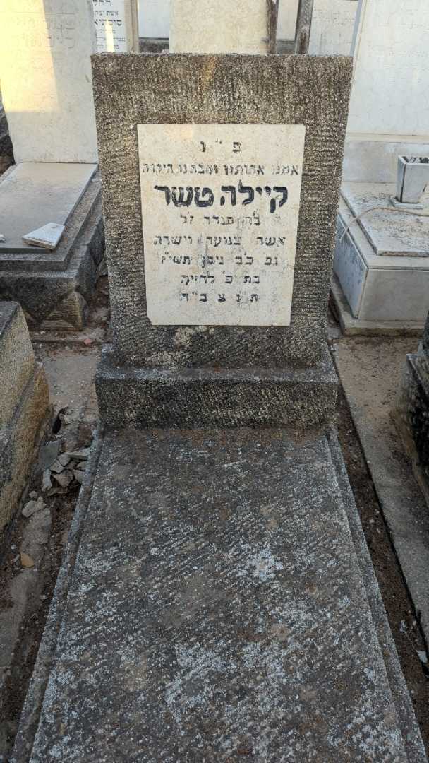 קברו של קיילה טשר