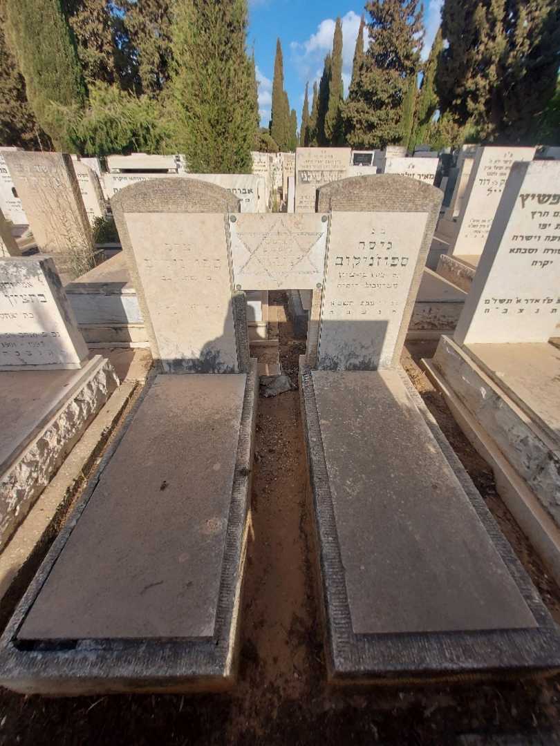 קברו של גיסה ספוז'ניקוב. תמונה 2