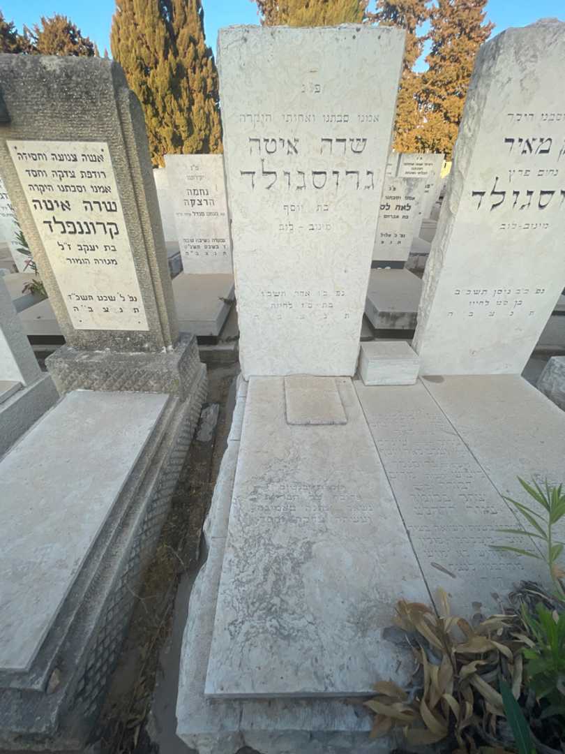 קברו של שרה איטה גרוסגולד. תמונה 2
