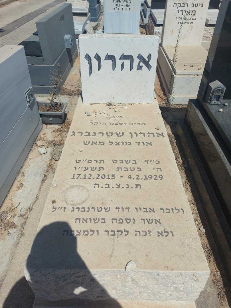 קברו של דוד שטרנברג