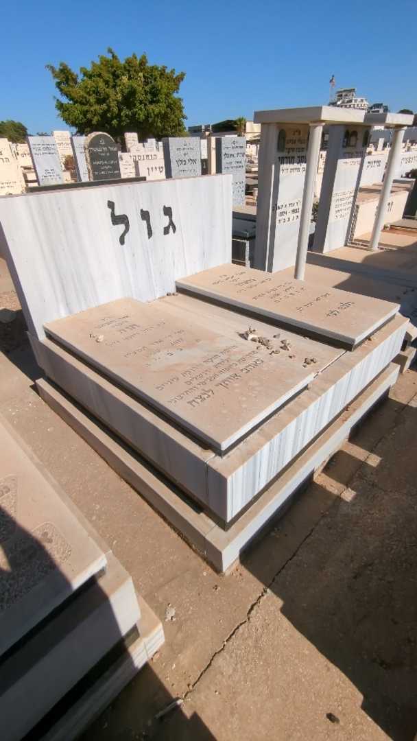 קברו של מאיר גול. תמונה 2