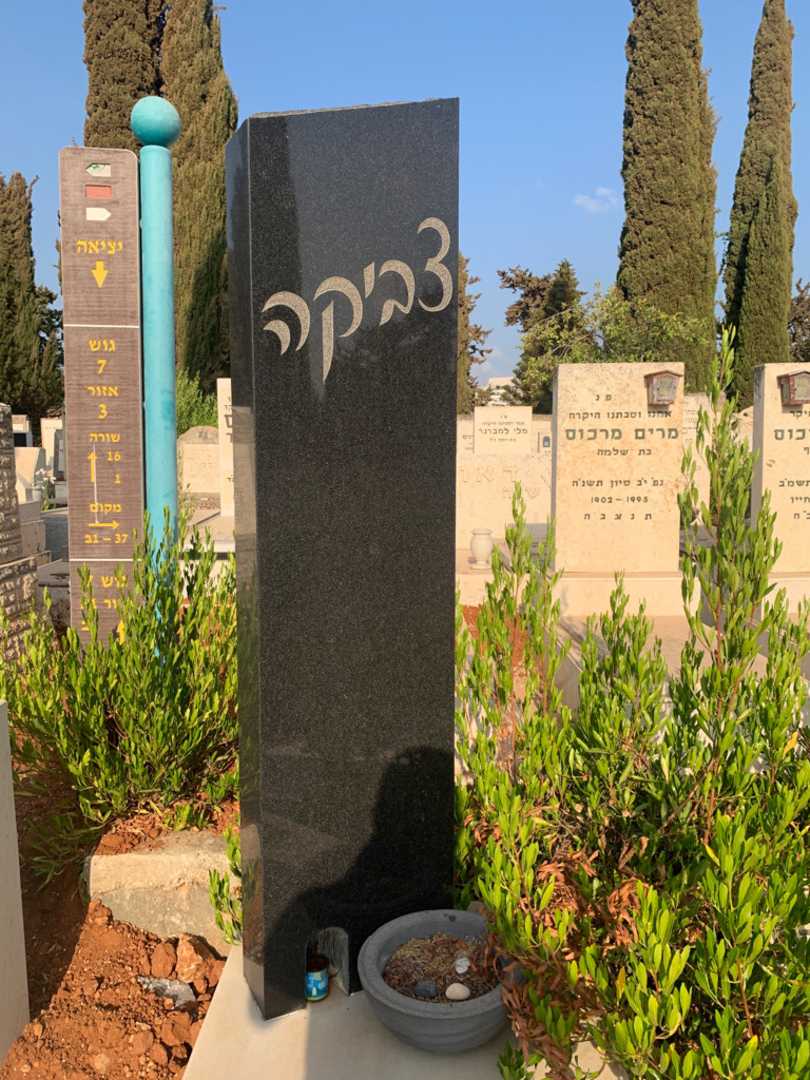 קברו של צבי "צביקה" שטיינמץ. תמונה 1