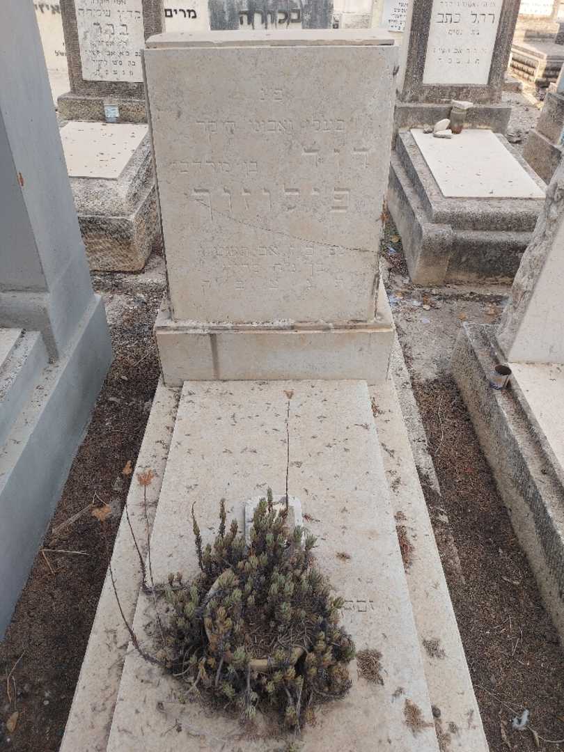 קברו של דוד פילוזוף