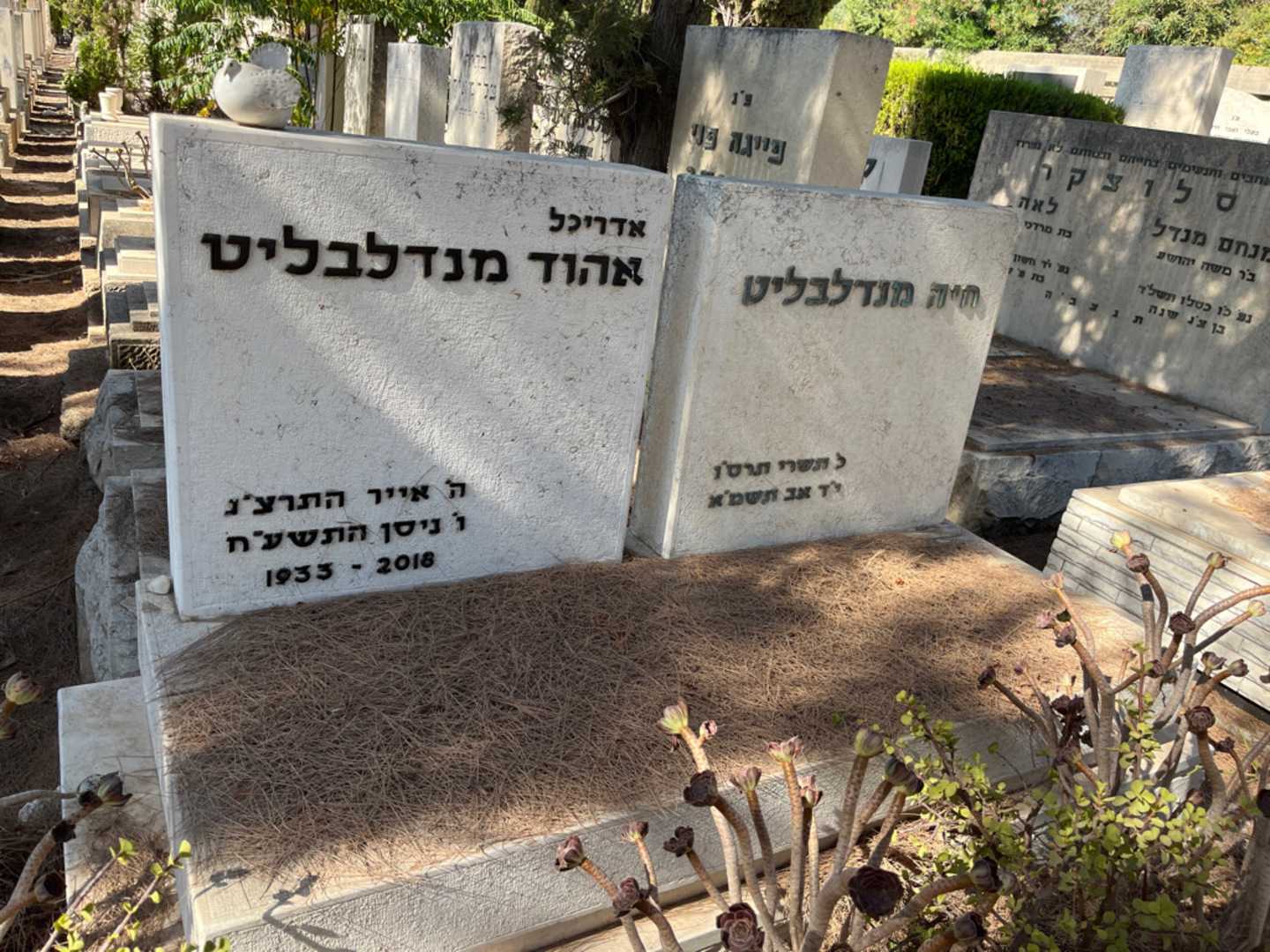 קברו של אהוד מנדלבליט