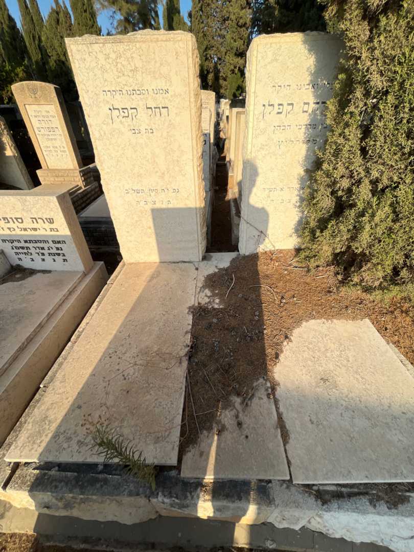קברו של אברהם קפלן. תמונה 1