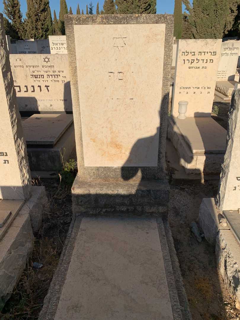 קברו של יוסף הנקין. תמונה 1