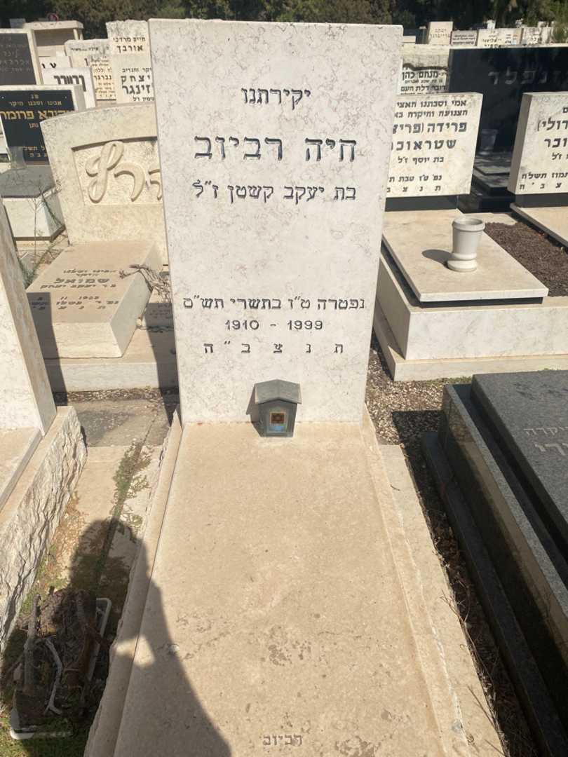 קברו של חיה רביוב. תמונה 2