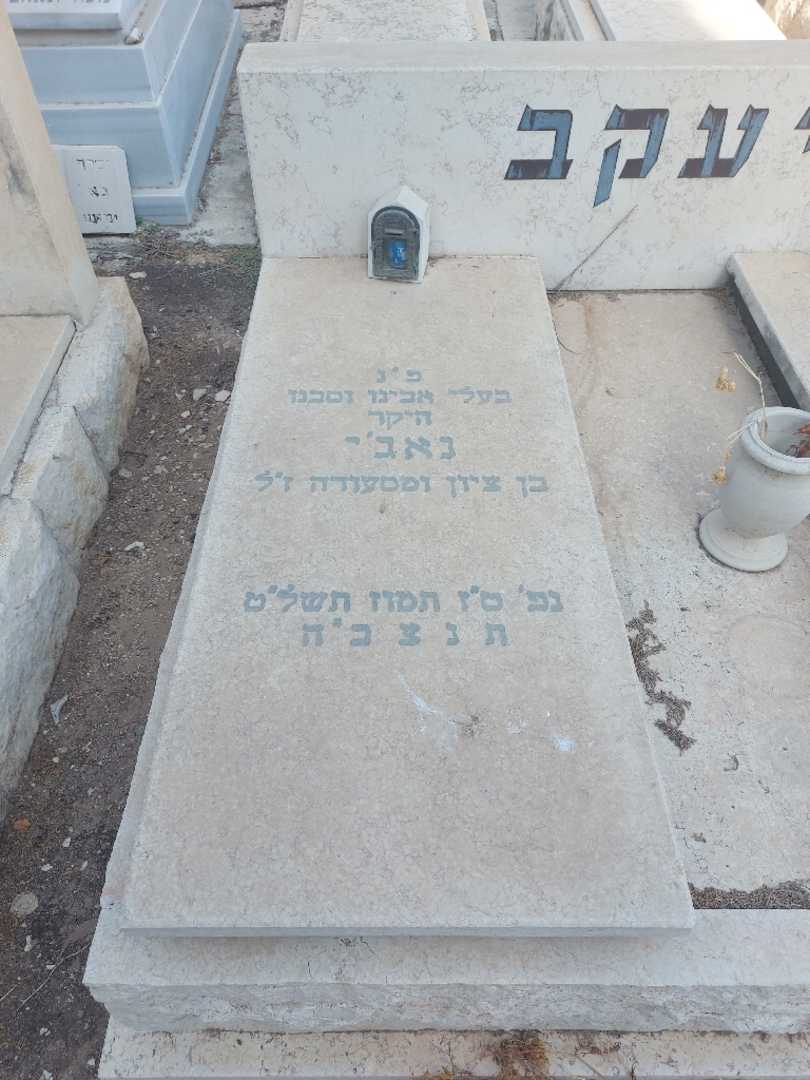 קברו של נאג'י יעקב. תמונה 1