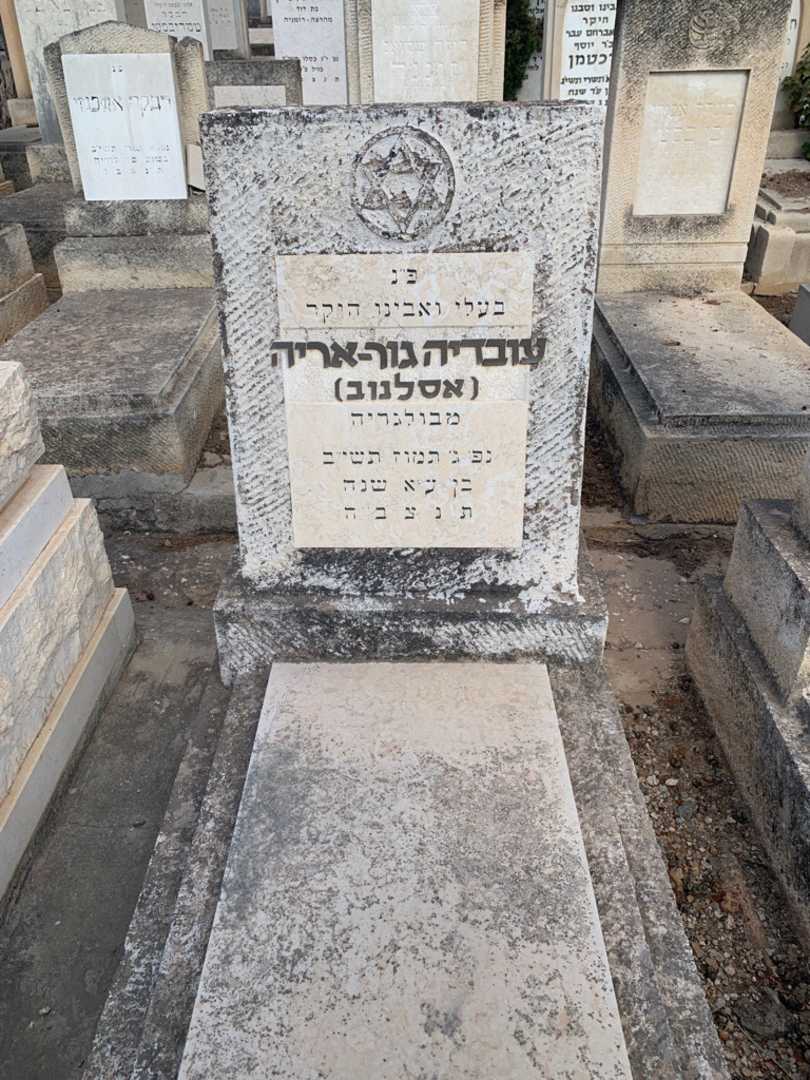 קברו של עובדיה "אסלנוב" גור-אריה