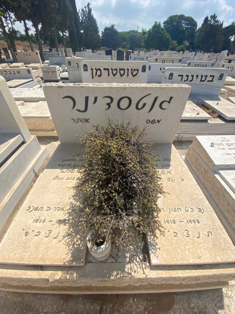 קברו של משה גוטסדינר. תמונה 2