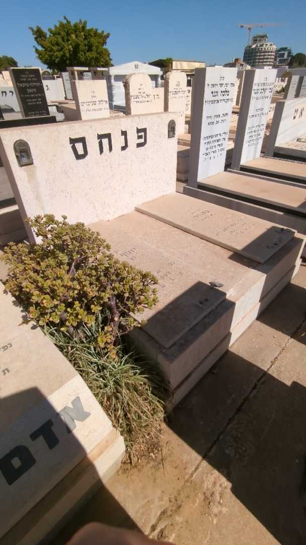קברו של יוסף "פפו" פנחס. תמונה 2
