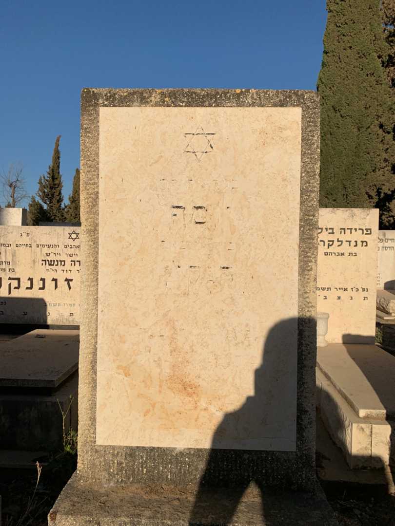 קברו של יוסף הנקין. תמונה 2