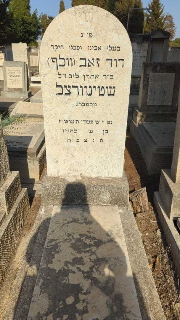 קברו של דוד זאב "וולף" שטינוורצל