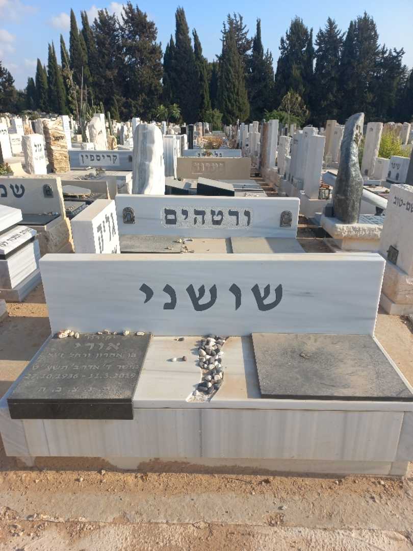 קברו של אורי שושני