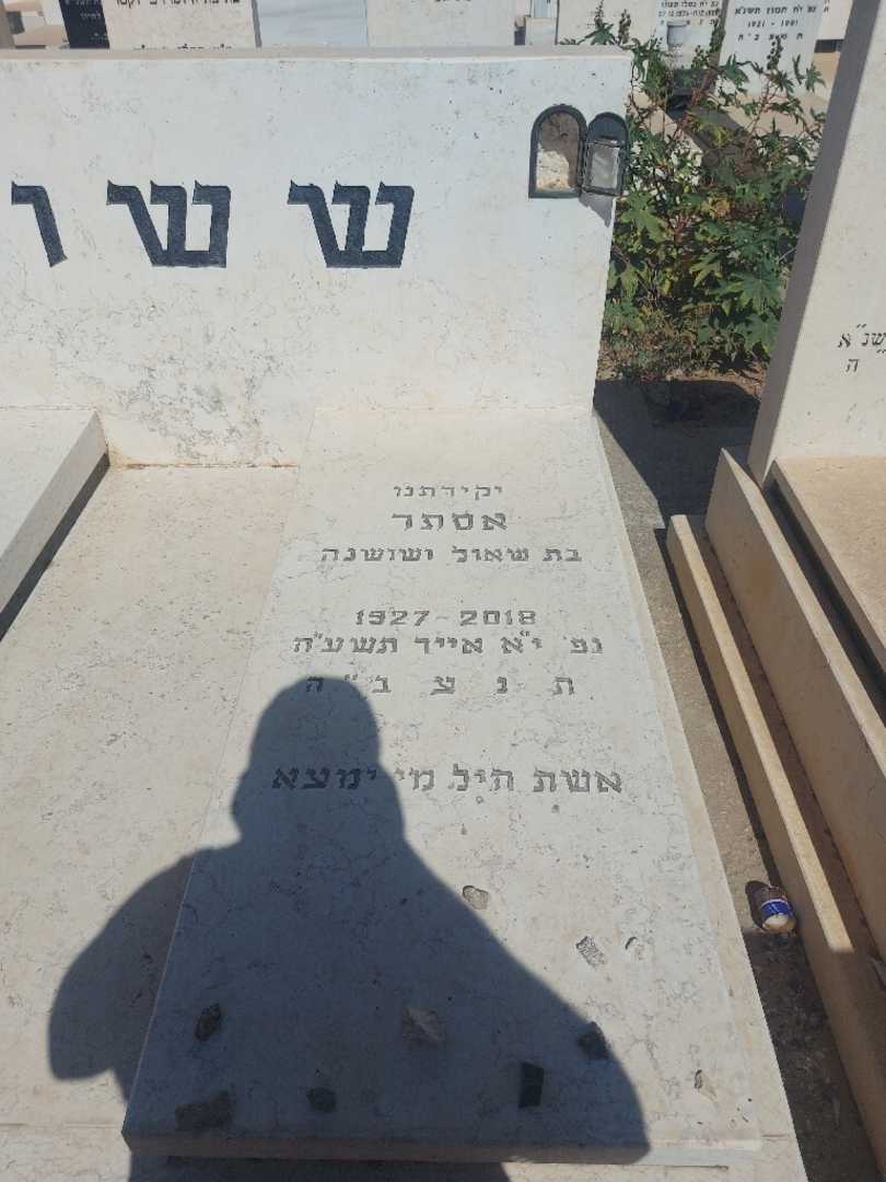 קברו של אסתר ששון. תמונה 1