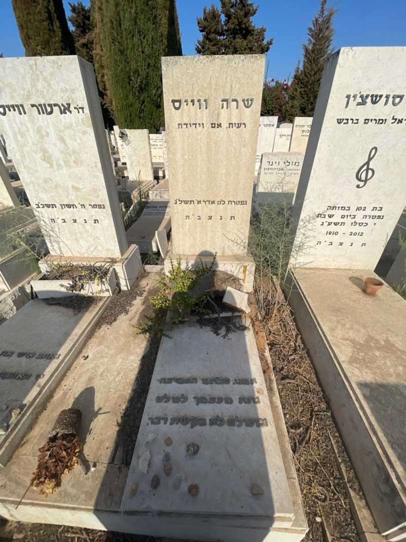 קברו של שרה ווייס. תמונה 2