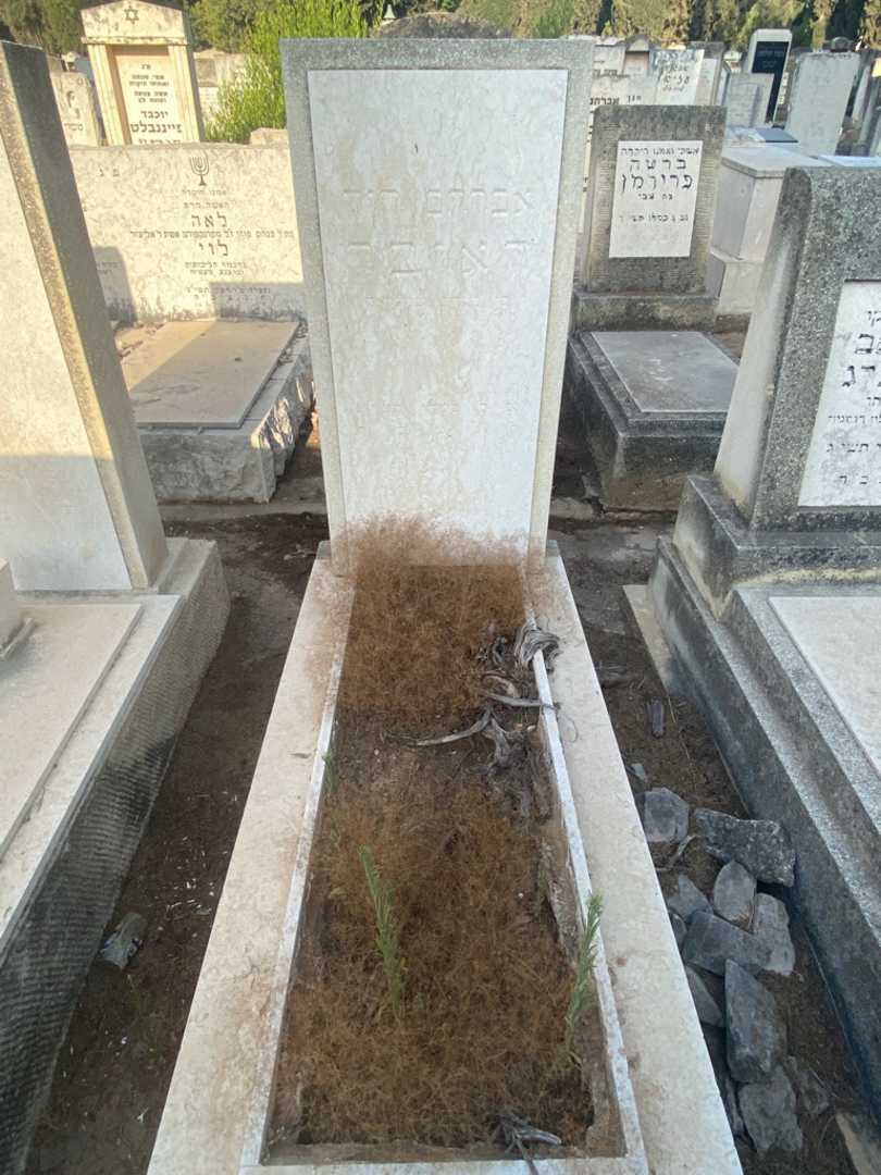 קברו של אברהם דוד דאובר