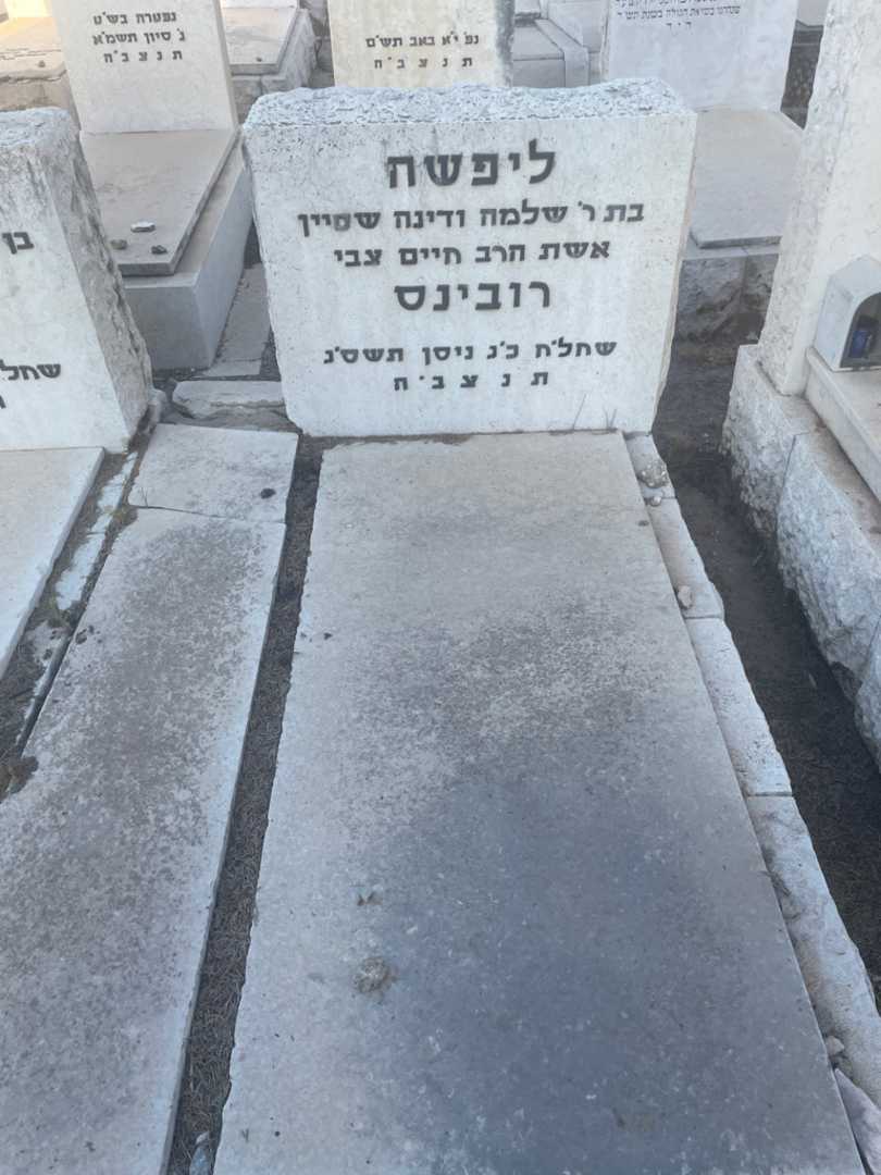 קברו של ליפשה רובינס. תמונה 2