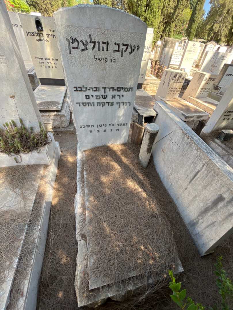 קברו של יעקב הולצמן
