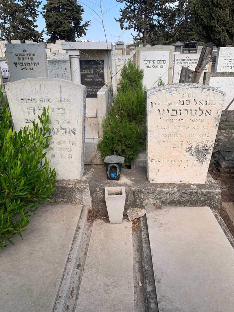 קברו של בילה אלטרוביץ. תמונה 1