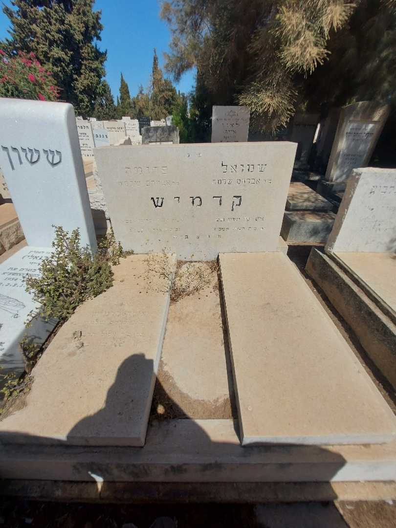 קברו של שמואל קרמיש. תמונה 2