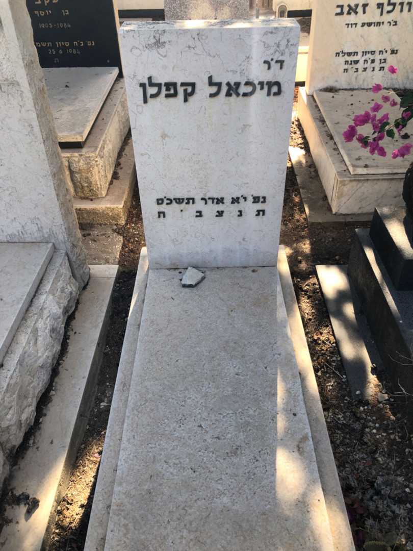 קברו של מיכאל קפלן