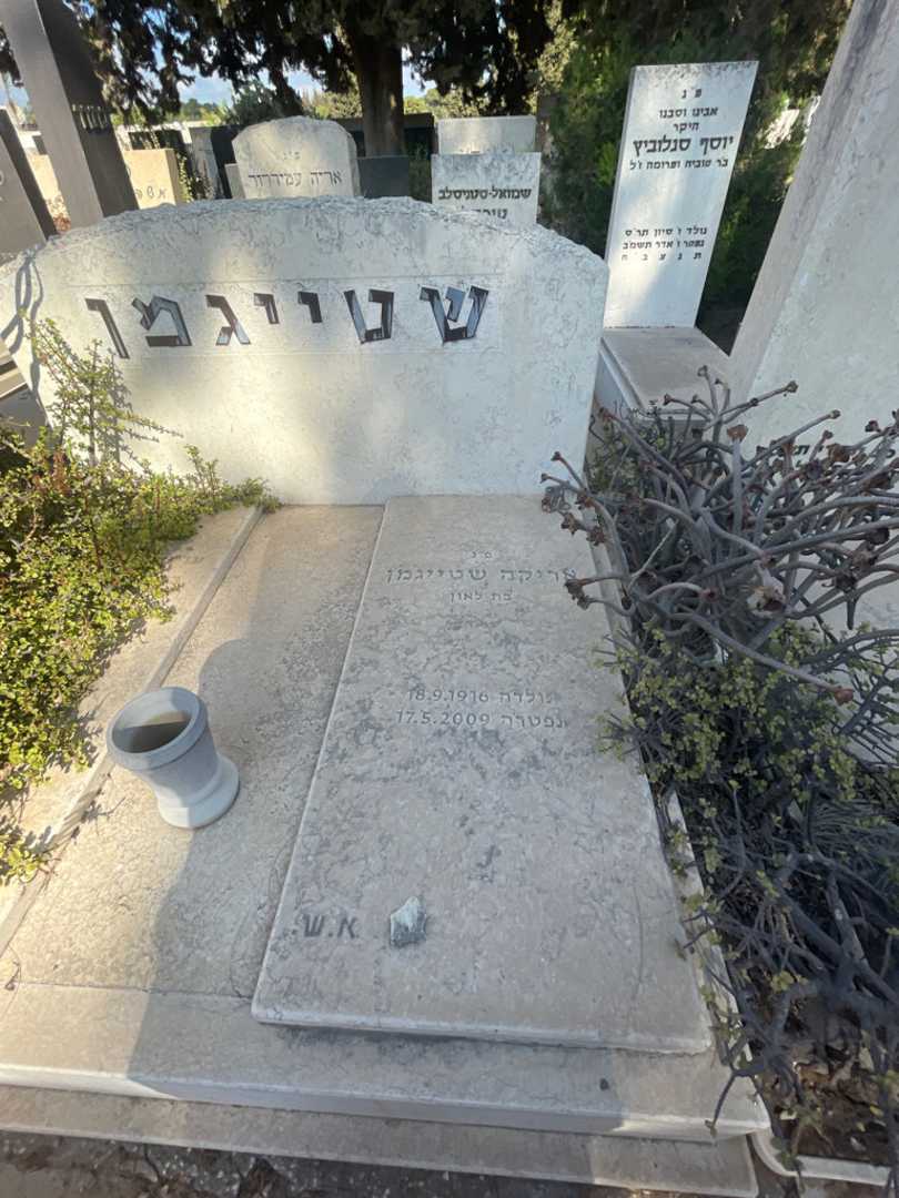 קברו של אריקה שטייגמן. תמונה 2