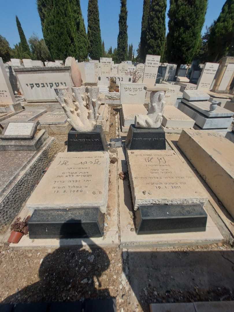 קברו של שלהבת "פשפיורקה" שלו. תמונה 2