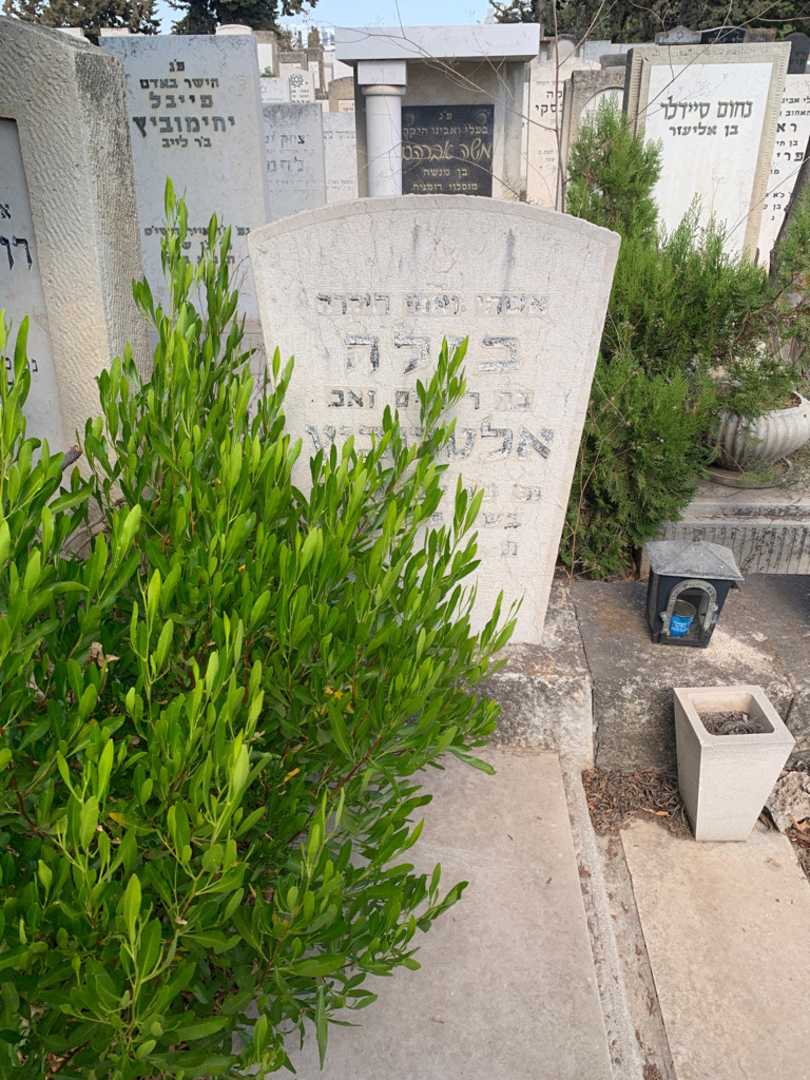 קברו של בילה אלטרוביץ. תמונה 2