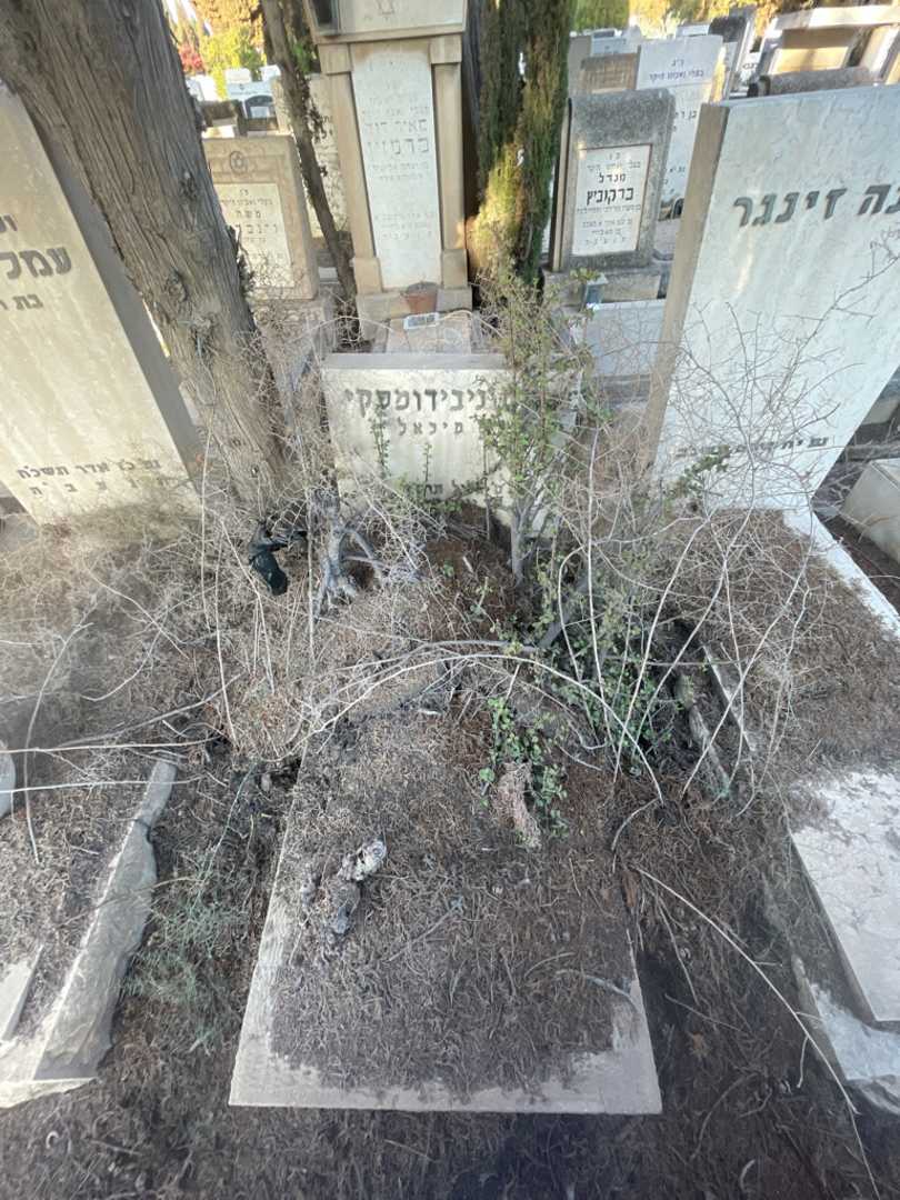 קברו של מרים ניבידומסקי. תמונה 1