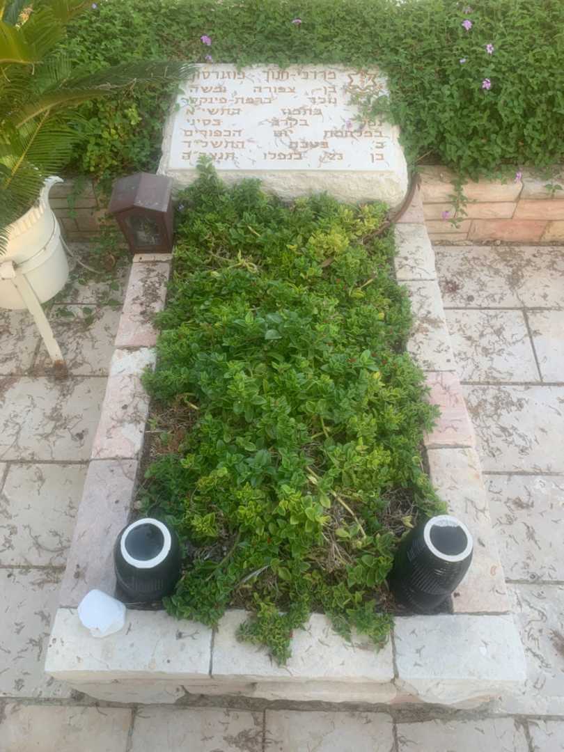 קברו של מרדכי-חנוך פוזורסון