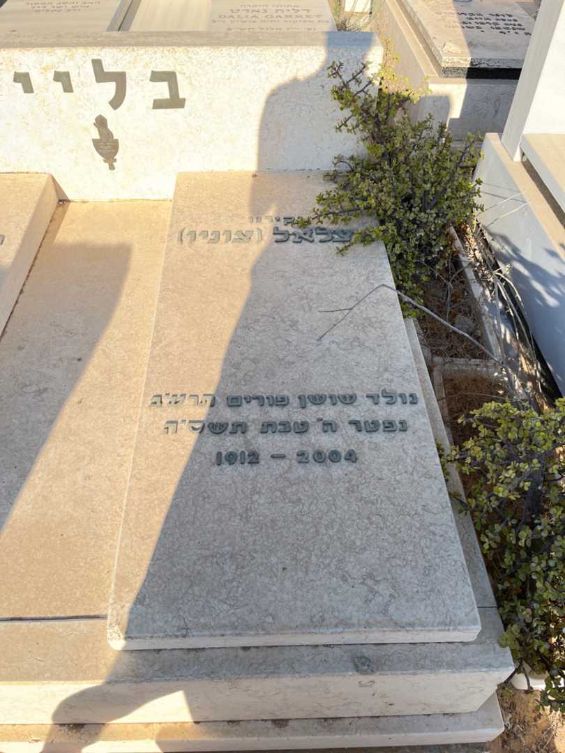 קברו של צלאל "צוניו" בליי. תמונה 2