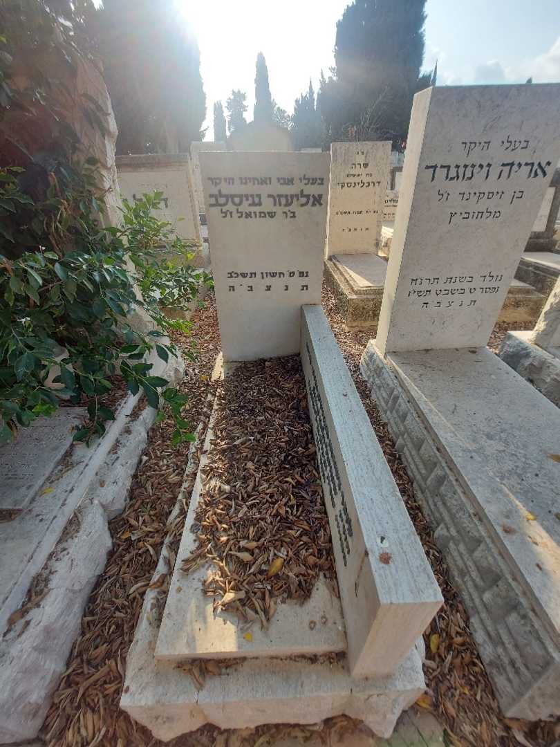 קברו של שרה יעקובוביץ. תמונה 1