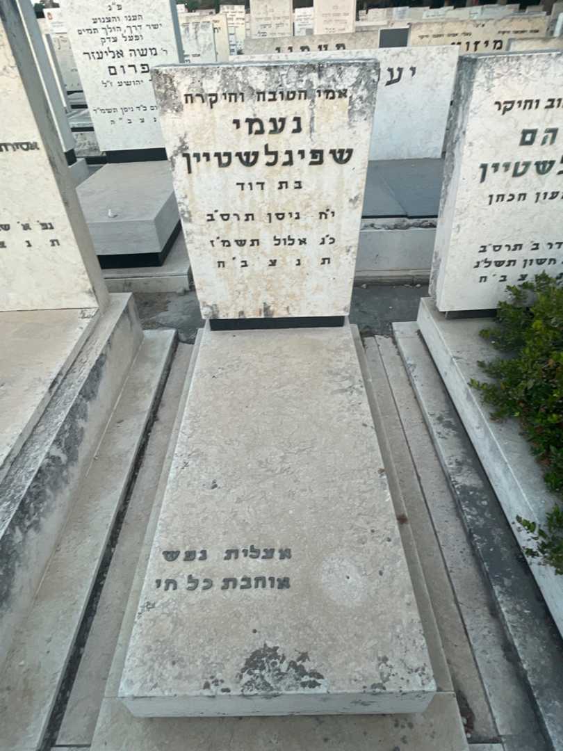 קברו של נעמי שפיגלשטיין. תמונה 2