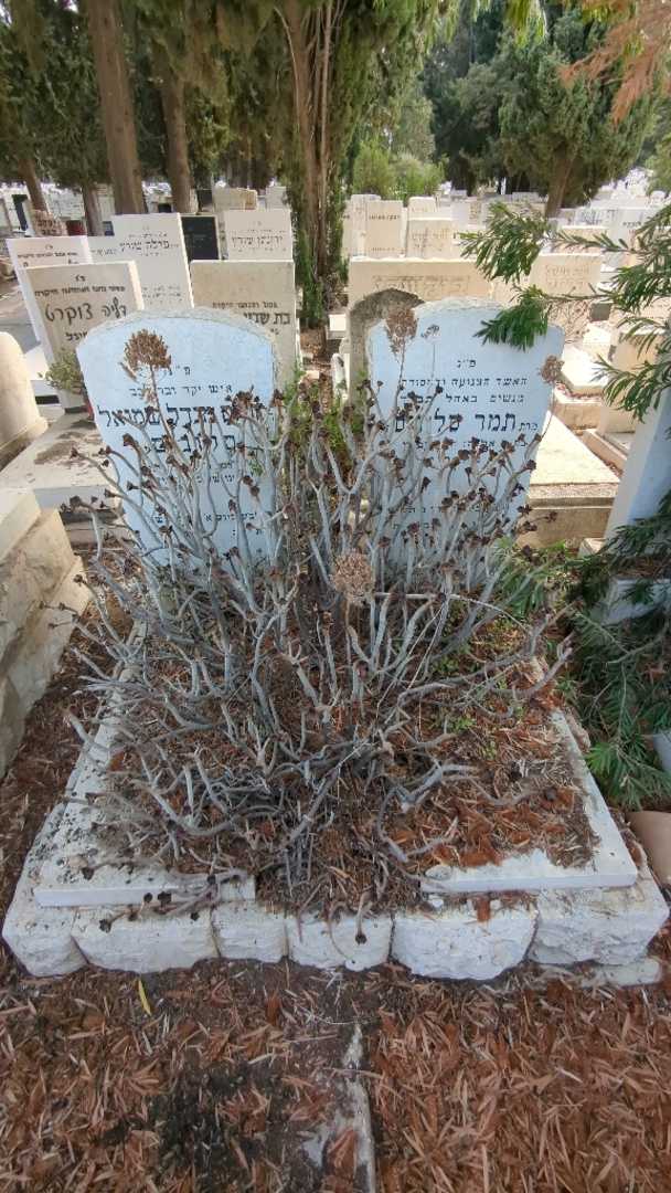קברו של מנחם מנדל שמואל סלונים. תמונה 2