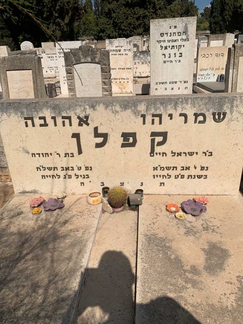 קברו של אהובה קפלן. תמונה 1