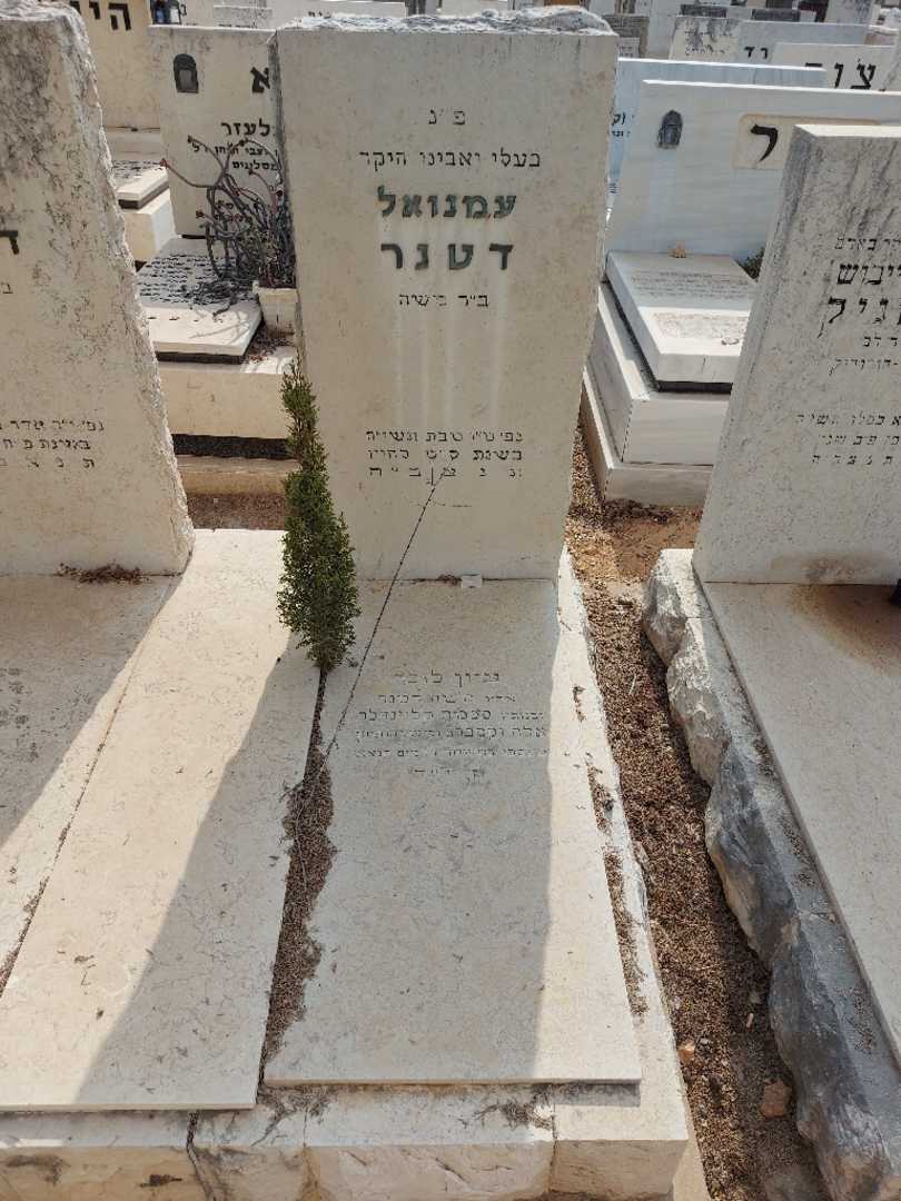 קברו של משה דטנר. תמונה 1