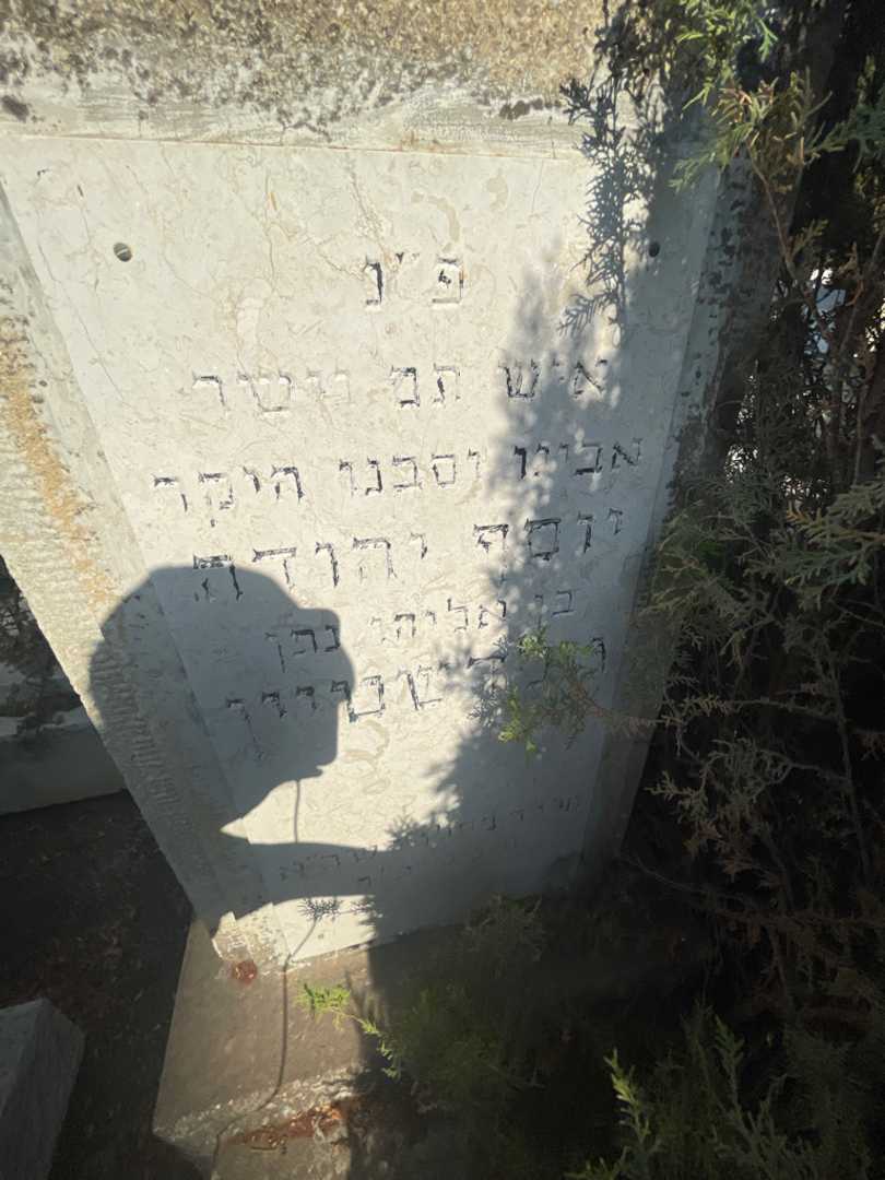 קברו של יוסף יהודה גולדשטיין. תמונה 2