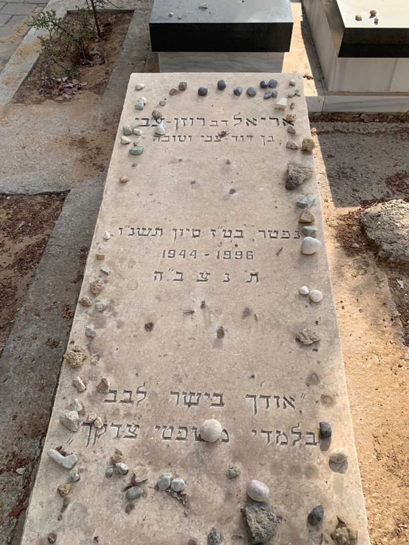 קברו של אריאל "דב" רוזן-צבי