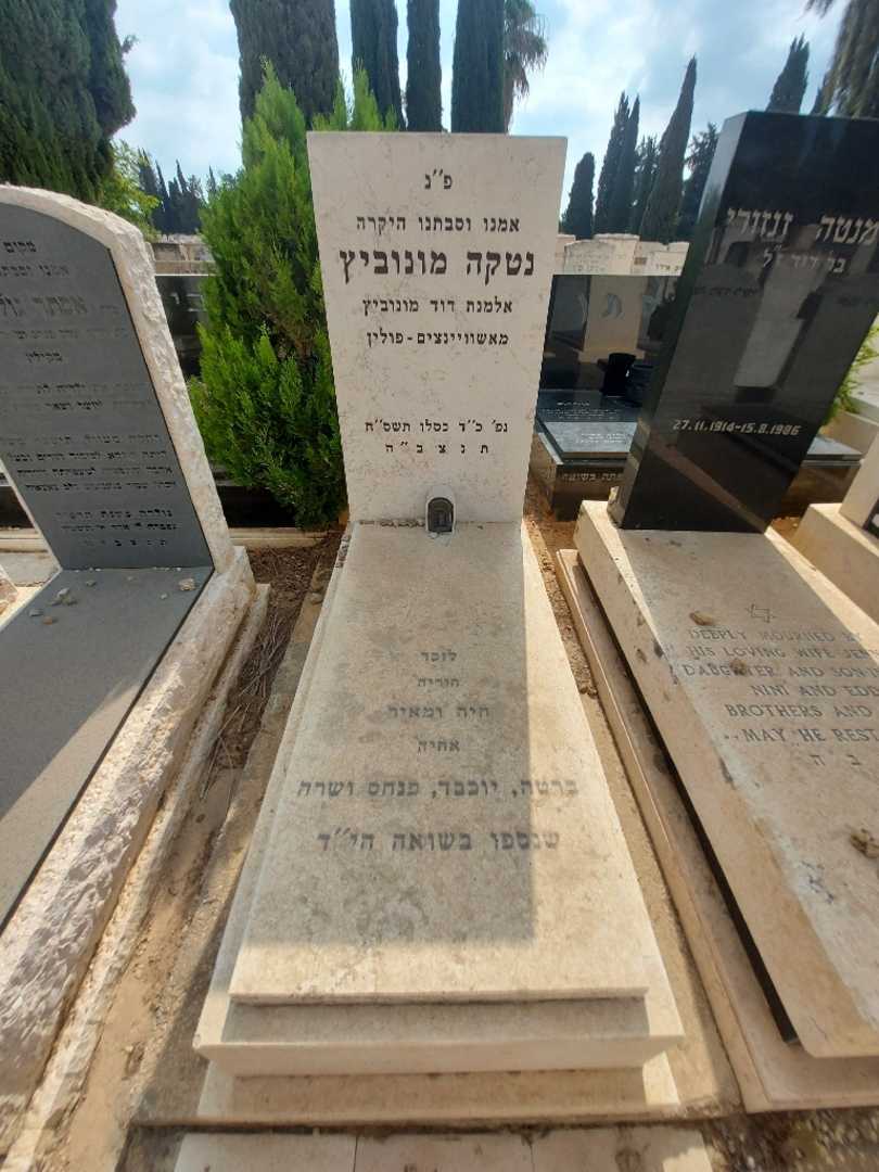 קברו של נטקה מונוביץ