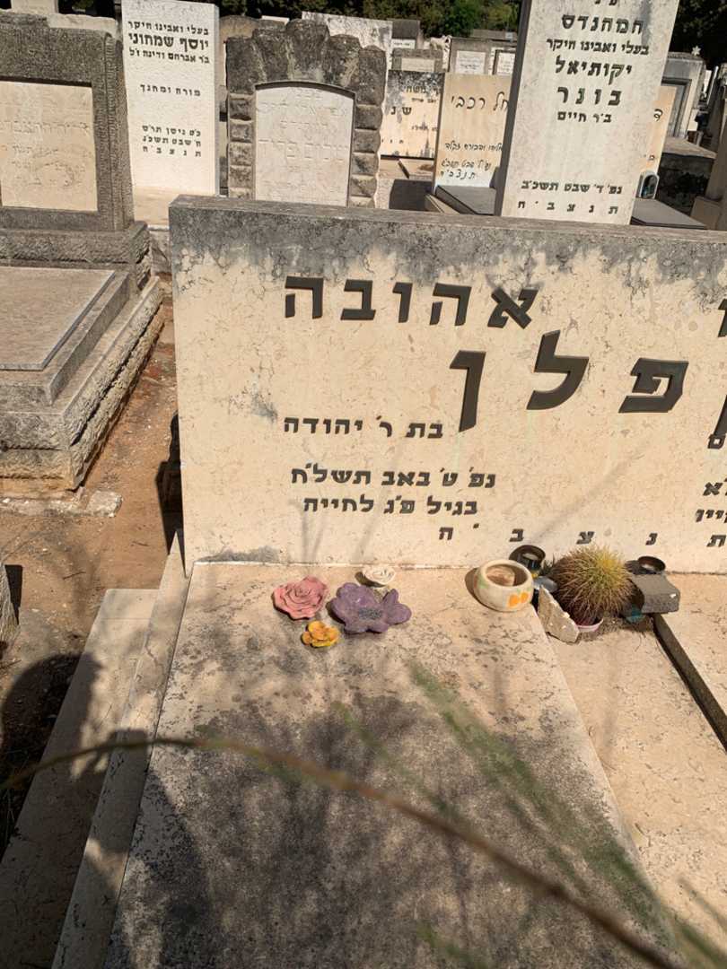 קברו של אהובה קפלן. תמונה 2