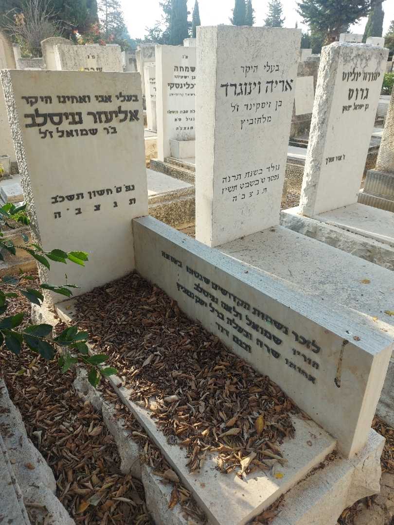 קברו של שרה יעקובוביץ. תמונה 2