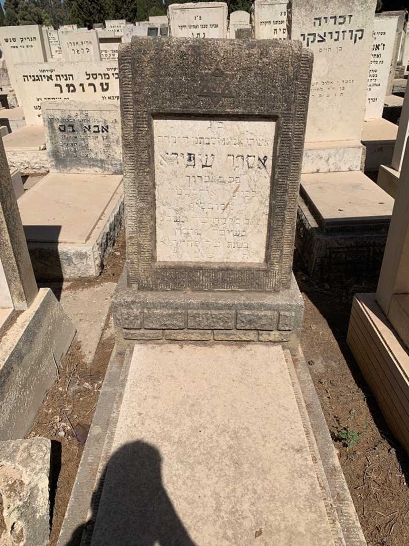 קברו של אסתר שפירא. תמונה 1