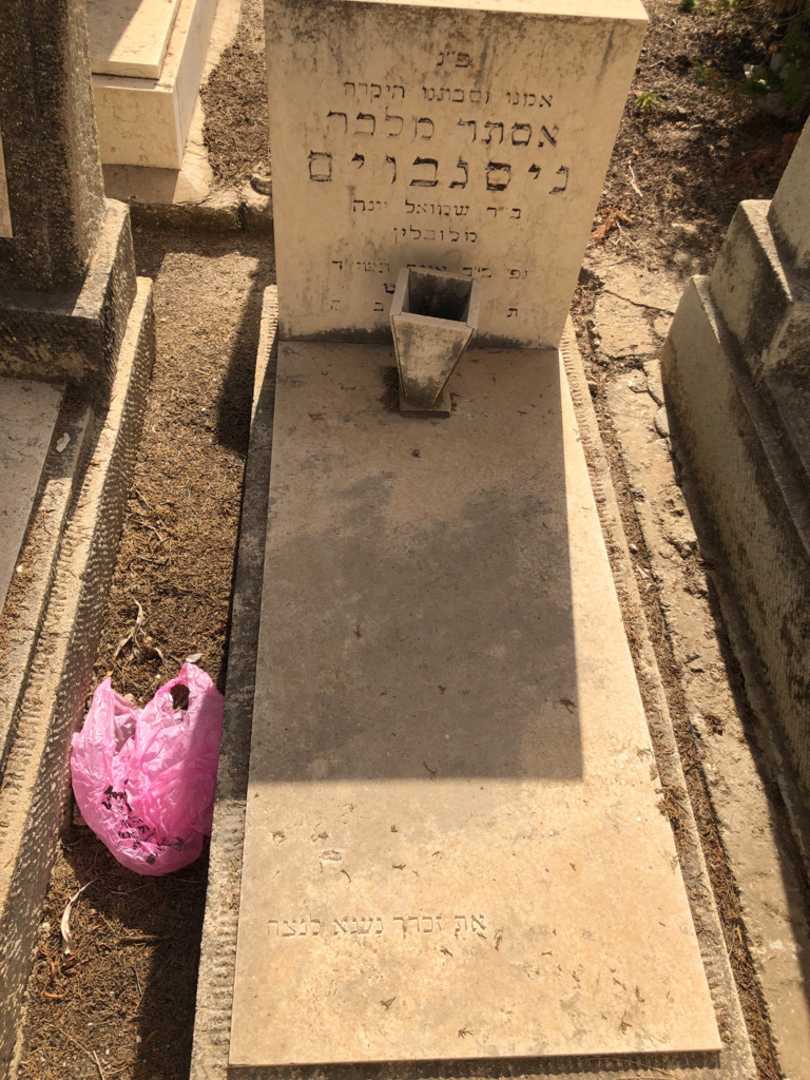 קברו של אסתר מלכה ניסנבוים