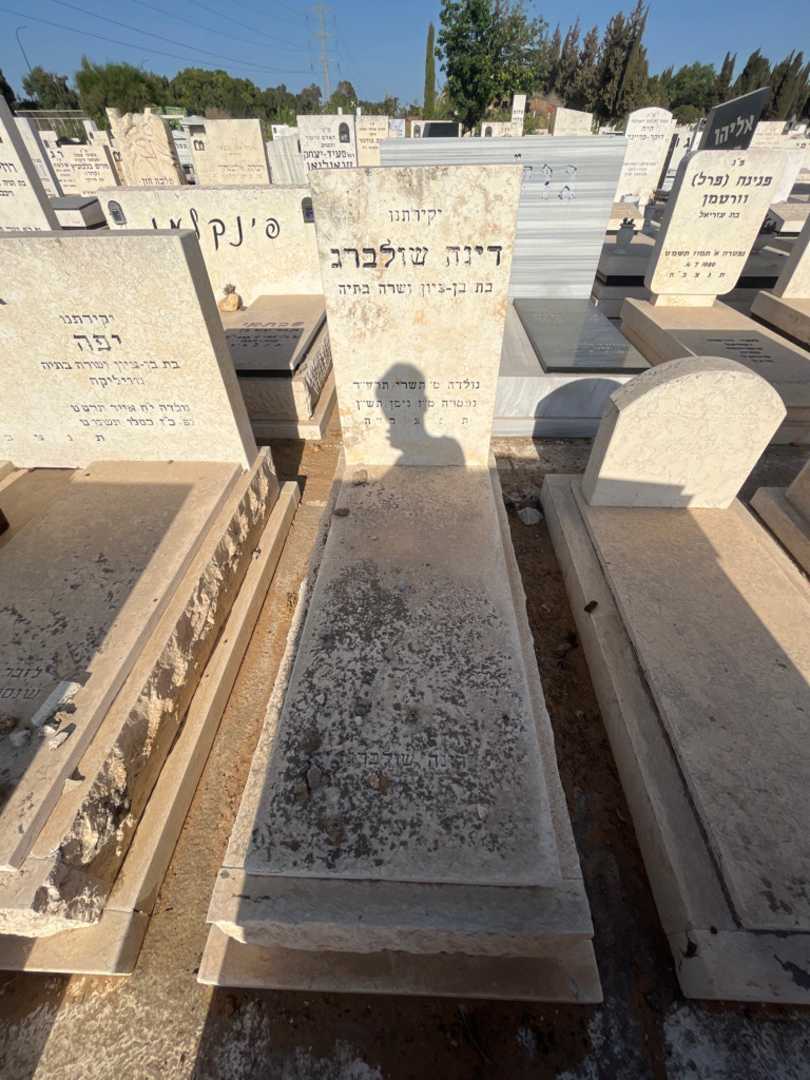 קברו של דינה שולברג