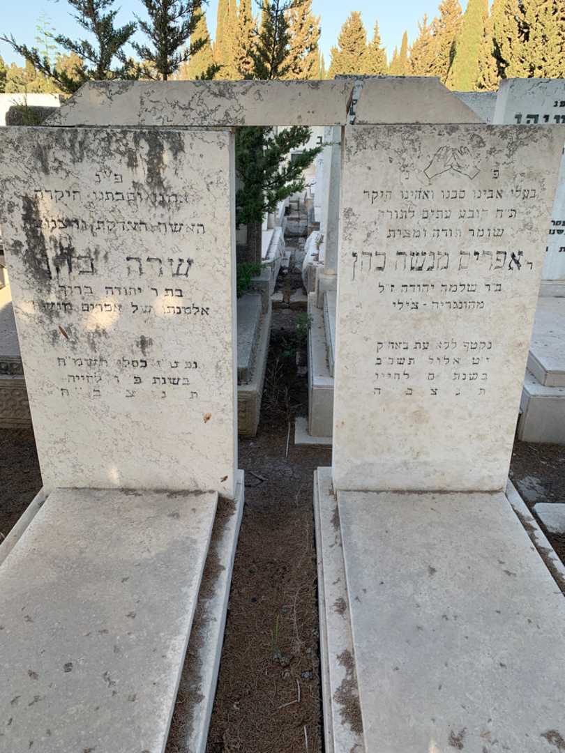 קברו של אפרים מנשה כהן. תמונה 1